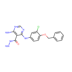 NNC(=O)c1c(N)ncnc1Nc1ccc(OCc2ccccc2)c(Cl)c1 ZINC000040401202