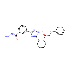 NNC(=O)c1cccc(-c2n[nH]c([C@H]3CCCCN3C(=O)COc3ccccc3)n2)c1 ZINC000299855014