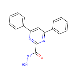 NNC(=O)c1nc(-c2ccccc2)cc(-c2ccccc2)n1 ZINC000000275178