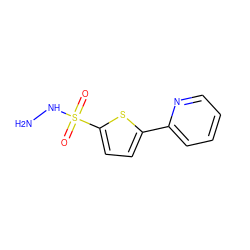 NNS(=O)(=O)c1ccc(-c2ccccn2)s1 ZINC000000126122