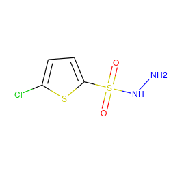 NNS(=O)(=O)c1ccc(Cl)s1 ZINC000001037556