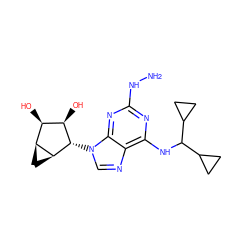 NNc1nc(NC(C2CC2)C2CC2)c2ncn([C@H]3[C@H](O)[C@H](O)[C@@H]4C[C@@H]43)c2n1 ZINC000095554871