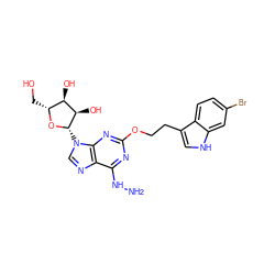 NNc1nc(OCCc2c[nH]c3cc(Br)ccc23)nc2c1ncn2[C@@H]1O[C@H](CO)[C@@H](O)[C@H]1O ZINC000029050917