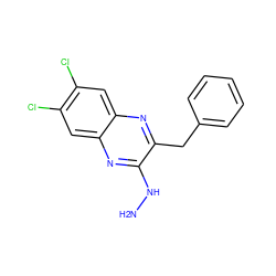 NNc1nc2cc(Cl)c(Cl)cc2nc1Cc1ccccc1 ZINC000028572163