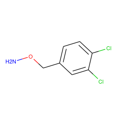 NOCc1ccc(Cl)c(Cl)c1 ZINC000000169385