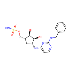 NS(=O)(=O)OC[C@H]1C[C@@H](Nc2ccnc(NCc3ccccc3)n2)[C@H](O)[C@@H]1O ZINC000114583374