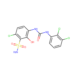 NS(=O)(=O)c1c(Cl)ccc(NC(=O)Nc2cccc(Cl)c2Cl)c1O ZINC000003990011