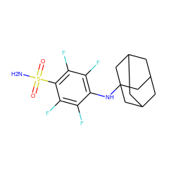 NS(=O)(=O)c1c(F)c(F)c(NC23CC4CC(CC(C4)C2)C3)c(F)c1F ZINC000095587760