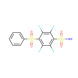 NS(=O)(=O)c1c(F)c(F)c(S(=O)(=O)c2ccccc2)c(F)c1F ZINC000095592769