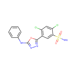 NS(=O)(=O)c1cc(-c2nnc(Nc3ccccc3)o2)c(Cl)cc1Cl ZINC000169351738