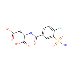 NS(=O)(=O)c1cc(C(=O)N[C@@H](CC(=O)O)C(=O)O)ccc1Cl ZINC000029478487