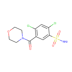 NS(=O)(=O)c1cc(C(=O)N2CCOCC2)c(Cl)cc1Cl ZINC000015420857