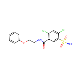 NS(=O)(=O)c1cc(C(=O)NCCOc2ccccc2)c(Cl)cc1Cl ZINC000002191496