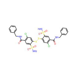 NS(=O)(=O)c1cc(C(=O)NCc2ccccc2)c(Cl)cc1SSc1cc(Cl)c(C(=O)NCc2ccccc2)cc1S(N)(=O)=O ZINC000034799852