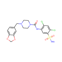 NS(=O)(=O)c1cc(NC(=O)N2CCN(Cc3ccc4c(c3)OCO4)CC2)c(Cl)cc1Cl ZINC000169351756