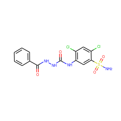 NS(=O)(=O)c1cc(NC(=O)NNC(=O)c2ccccc2)c(Cl)cc1Cl ZINC000169351753