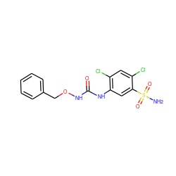 NS(=O)(=O)c1cc(NC(=O)NOCc2ccccc2)c(Cl)cc1Cl ZINC000169351752