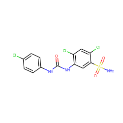 NS(=O)(=O)c1cc(NC(=O)Nc2ccc(Cl)cc2)c(Cl)cc1Cl ZINC000169351748