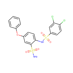 NS(=O)(=O)c1cc(Oc2ccccc2)ccc1NS(=O)(=O)c1ccc(Cl)c(Cl)c1 ZINC000142029020