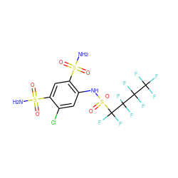 NS(=O)(=O)c1cc(S(N)(=O)=O)c(NS(=O)(=O)C(F)(F)C(F)(F)C(F)(F)C(F)(F)F)cc1Cl ZINC000034718040