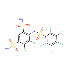 NS(=O)(=O)c1cc(S(N)(=O)=O)c(NS(=O)(=O)c2c(F)c(F)c(F)c(F)c2F)c(Cl)c1Cl ZINC000027521466