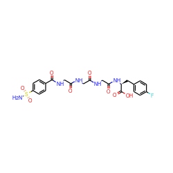 NS(=O)(=O)c1ccc(C(=O)NCC(=O)NCC(=O)NCC(=O)N[C@@H](Cc2ccc(F)cc2)C(=O)O)cc1 ZINC000027640428