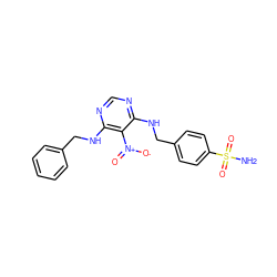 NS(=O)(=O)c1ccc(CNc2ncnc(NCc3ccccc3)c2[N+](=O)[O-])cc1 ZINC000058650723