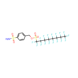 NS(=O)(=O)c1ccc(COS(=O)(=O)C(F)(F)C(F)(F)C(F)(F)C(F)(F)C(F)(F)C(F)(F)C(F)(F)C(F)(F)F)cc1 ZINC000034718051