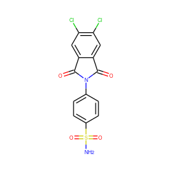 NS(=O)(=O)c1ccc(N2C(=O)c3cc(Cl)c(Cl)cc3C2=O)cc1 ZINC000096905484