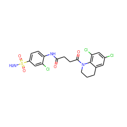 NS(=O)(=O)c1ccc(NC(=O)CCC(=O)N2CCCc3cc(Cl)cc(Cl)c32)c(Cl)c1 ZINC000048998377