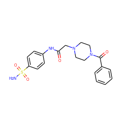 NS(=O)(=O)c1ccc(NC(=O)CN2CCN(C(=O)c3ccccc3)CC2)cc1 ZINC000055142378