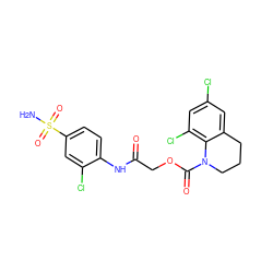 NS(=O)(=O)c1ccc(NC(=O)COC(=O)N2CCCc3cc(Cl)cc(Cl)c32)c(Cl)c1 ZINC000048998323