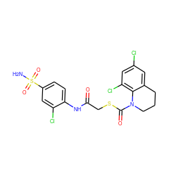 NS(=O)(=O)c1ccc(NC(=O)CSC(=O)N2CCCc3cc(Cl)cc(Cl)c32)c(Cl)c1 ZINC000049793230