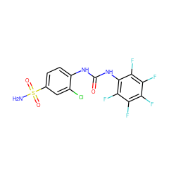 NS(=O)(=O)c1ccc(NC(=O)Nc2c(F)c(F)c(F)c(F)c2F)c(Cl)c1 ZINC000013561072