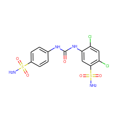 NS(=O)(=O)c1ccc(NC(=O)Nc2cc(S(N)(=O)=O)c(Cl)cc2Cl)cc1 ZINC000169351750