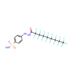 NS(=O)(=O)c1ccc(NNC(=O)C(F)(F)C(F)(F)C(F)(F)C(F)(F)C(F)(F)C(F)(F)C(F)(F)C(F)(F)F)cc1 ZINC000034718048