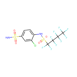 NS(=O)(=O)c1ccc(NS(=O)(=O)C(F)(F)C(F)(F)C(F)(F)C(F)(F)F)c(Cl)c1 ZINC000034718071