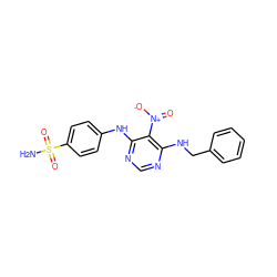 NS(=O)(=O)c1ccc(Nc2ncnc(NCc3ccccc3)c2[N+](=O)[O-])cc1 ZINC000064512508