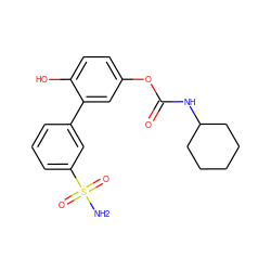 NS(=O)(=O)c1cccc(-c2cc(OC(=O)NC3CCCCC3)ccc2O)c1 ZINC000096273122