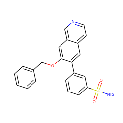 NS(=O)(=O)c1cccc(-c2cc3ccncc3cc2OCc2ccccc2)c1 ZINC000040420360