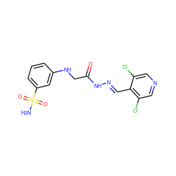 NS(=O)(=O)c1cccc(NCC(=O)N/N=C/c2c(Cl)cncc2Cl)c1 ZINC000201288231