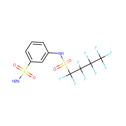 NS(=O)(=O)c1cccc(NS(=O)(=O)C(F)(F)C(F)(F)C(F)(F)C(F)(F)F)c1 ZINC000034718110