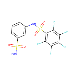 NS(=O)(=O)c1cccc(NS(=O)(=O)c2c(F)c(F)c(F)c(F)c2F)c1 ZINC000013835293