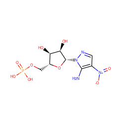 Nc1c([N+](=O)[O-])cnn1[C@@H]1O[C@H](COP(=O)(O)O)[C@@H](O)[C@H]1O ZINC000040898079