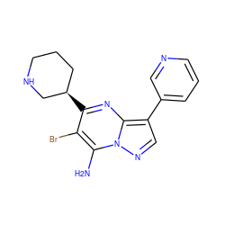 Nc1c(Br)c([C@@H]2CCCNC2)nc2c(-c3cccnc3)cnn12 ZINC000060328036