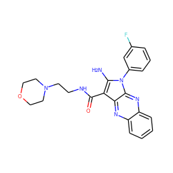 Nc1c(C(=O)NCCN2CCOCC2)c2nc3ccccc3nc2n1-c1cccc(F)c1 ZINC000021540318