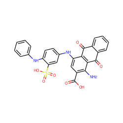 Nc1c(C(=O)O)cc(Nc2ccc(Nc3ccccc3)c(S(=O)(=O)O)c2)c2c1C(=O)c1ccccc1C2=O ZINC000042804582