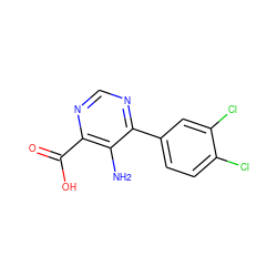 Nc1c(C(=O)O)ncnc1-c1ccc(Cl)c(Cl)c1 ZINC000206204194