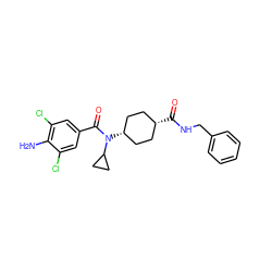 Nc1c(Cl)cc(C(=O)N(C2CC2)[C@H]2CC[C@@H](C(=O)NCc3ccccc3)CC2)cc1Cl ZINC000261118992