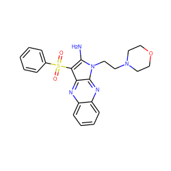 Nc1c(S(=O)(=O)c2ccccc2)c2nc3ccccc3nc2n1CCN1CCOCC1 ZINC000019706512